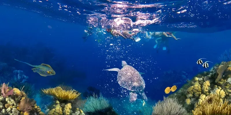 Snorkeling à Sataya Dolphin Reef à Marsa Alam